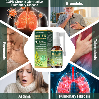 𝗢𝗳𝗳𝗶𝗰𝗶𝗮𝗹 𝗦𝘁𝗼𝗿𝗲: CareRegen® 𝗢𝗿𝗴𝗮𝗻𝗶𝗰 𝗟𝘂𝗻𝗴 𝗖𝗹𝗲𝗮𝗻𝘀𝗶𝗻𝗴 𝗠𝘂𝗹𝗹𝗲𝗶𝗻 𝗟𝗲𝗮𝗳 𝗘𝘅𝘁𝗿𝗮𝗰𝘁 𝗜𝗻𝗵𝗮𝗹𝗲 𝐂𝐥𝐢𝐧𝐢𝐜𝐚𝐥𝐥𝐲 𝐩𝐫𝐨𝐯𝐞𝐧, 𝐡𝐢𝐠𝐡𝐥𝐲 𝐜𝐨𝐧𝐜𝐞𝐧𝐭𝐫𝐚𝐭𝐞𝐝 𝐟𝐨𝐫𝐦𝐮𝐥𝐚 𝐭𝐡𝐚𝐭 𝐫𝐞𝐥𝐢𝐞𝐯𝐞𝐬 𝐜𝐨𝐮𝐠𝐡, 𝐩𝐡𝐥𝐞𝐠𝐦, 𝐚𝐬𝐭𝐡𝐦𝐚 & 𝐂𝐎𝐏𝐃 — 𝐛𝐫𝐞𝐚𝐭𝐡𝐞 𝐞𝐚𝐬𝐢𝐞𝐫, 𝐟𝐚𝐬𝐭𝐞𝐫. 🎁