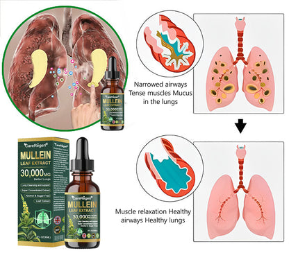 𝗢𝗳𝗳𝗶𝗰𝗶𝗮𝗹 𝗦𝘁𝗼𝗿𝗲:CareRegen®❤️‍🔥 𝗢𝗿𝗴𝗮𝗻𝗶𝗰 𝗟𝘂𝗻𝗴 𝗖𝗹𝗲𝗮𝗻𝘀𝗶𝗻𝗴 𝗠𝘂𝗹𝗹𝗲𝗶𝗻 𝗟𝗲𝗮𝗳 𝗘𝘅𝘁𝗿𝗮𝗰𝘁 𝗗𝗿𝗼𝗽𝘀  𝐂𝐥𝐢𝐧𝐢𝐜𝐚𝐥𝐥𝐲 𝐩𝐫𝐨𝐯𝐞𝐧, 𝐡𝐢𝐠𝐡𝐥𝐲 𝐜𝐨𝐧𝐜𝐞𝐧𝐭𝐫𝐚𝐭𝐞𝐝 𝐟𝐨𝐫𝐦𝐮𝐥𝐚 𝐭𝐡𝐚𝐭 𝐫𝐞𝐥𝐢𝐞𝐯𝐞𝐬 𝐜𝐨𝐮𝐠𝐡, 𝐩𝐡𝐥𝐞𝐠𝐦, 𝐚𝐬𝐭𝐡𝐦𝐚 & 𝐂𝐎𝐏𝐃 — 𝐛𝐫𝐞𝐚𝐭𝐡𝐞 𝐞𝐚𝐬𝐢𝐞𝐫, 𝐟𝐚𝐬𝐭𝐞𝐫. 💙